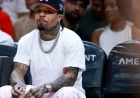 Gervonta Davis Arrested and Held in Police Custody: Report