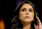 Tulsi Gabbard Criticized for Attending FBI Raid on Georgia Election Hub