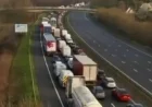 M5 Traffic Halted in Both Directions Amid Police Incident