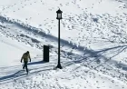 Bomb Cyclone Brings Harsh Cold Winds to Washington D.C.