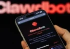 Clawdbot, Moltbot, OpenClaw: viral AI agent rebrands amid security alarms