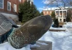 University of Maryland Shuts Campus Following Heating System Failure
