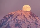 February’s Full Snow Moon Promises Transformation for These Four Star Signs