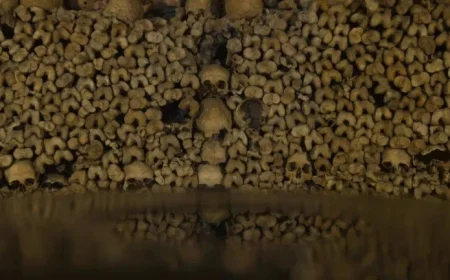 Paris Bans NOVO19’s Underground Megastructures: Summary and Broadcasts