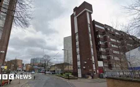 23-Year-Old Man Fatally Stabbed in Deptford