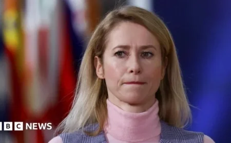 EU Diplomat Denounces Russian Accusations of Ukrainian Government Cyberattack