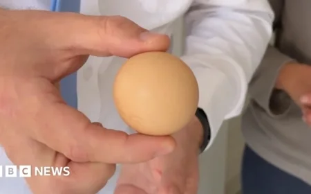 Search Begins for Spherical Egg in Global Cup Competition