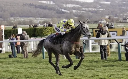 Top Contenders for 2026 Queen Mother Champion Chase Revealed