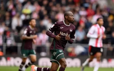 Swansea City vs. West Bromwich Albion: Team News and Updates