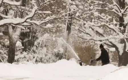 Ontario Implements New Laws and Rules Starting Next Year