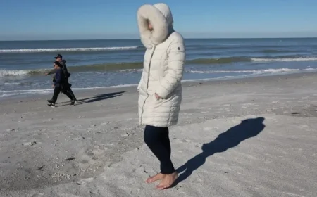 Florida Braces for Widespread Freeze with Statewide Warnings and Advisories