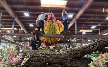 Phoenix Float Embodies Hope at Rose Parade: NPR