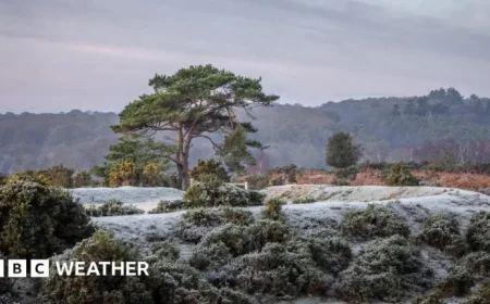 UK Braces for New Year Snow and Ice as Arctic Air Arrives