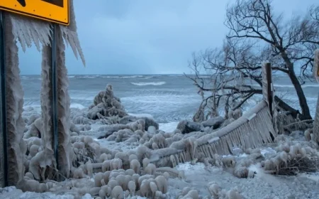 Frozen BMW Theft Outside Hamburg Restaurant in New York