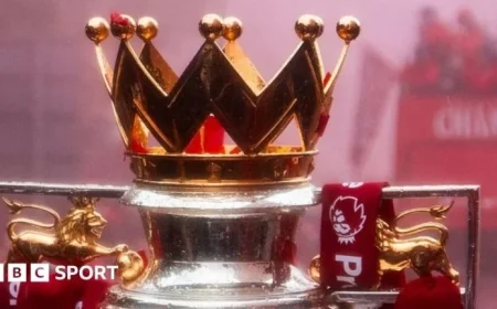 Premier League 2025: Who Dominated This Year?