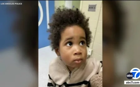 Los Angeles Police Arrest Mother After Toddler Left During Car Theft Attempt