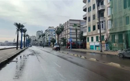 Rainy Start to 2026 in Alexandria (Photos)