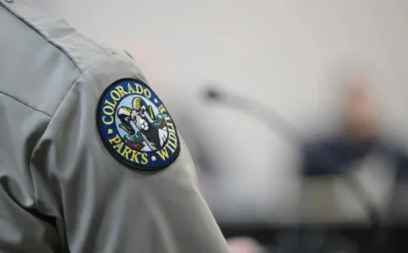 Mountain Lion Attack in Northern Colorado: Woman Killed, Officers Euthanize Two