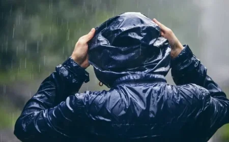 Morning Snowfall Transitions to Sunny Afternoon Skies