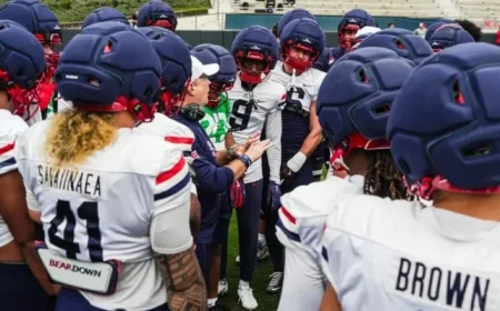 Arizona Wildcats vs. SMU: Key Highlights for Holiday Bowl Showdown