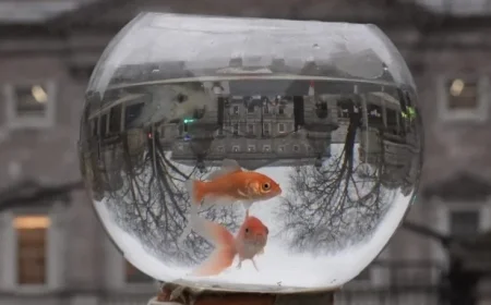 Amazon Beta Testers Share: ‘Alexa Killed My Fish’ Tales