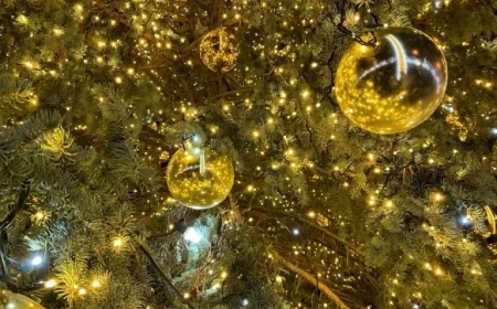 Celebrate New Year in Minsk: Top Spots to Visit After Midnight