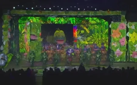 Downtowners Triumph in First Mummers Fancy Brigade Finale Since 2002