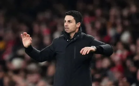 Arsenal Secures January Signing with FA Approval for Next Match