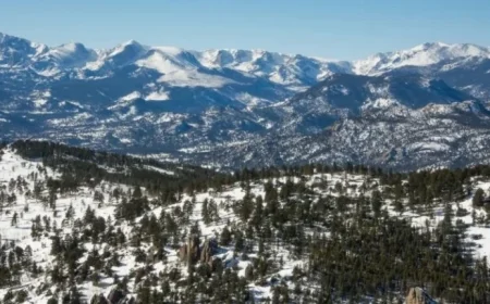 Colorado Woman Killed in Suspected Mountain Lion Attack