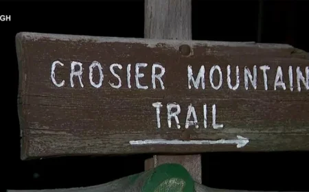 Mountain Lion Suspected in Fatal Colorado Hiking Attack on Woman