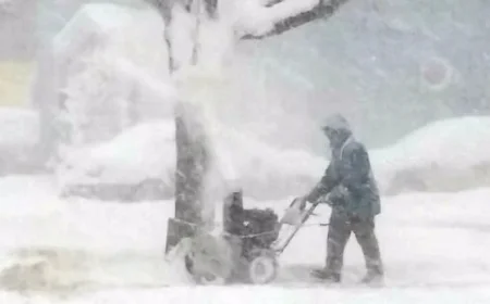 Nova Scotia Braces for Intense Whiteout Conditions