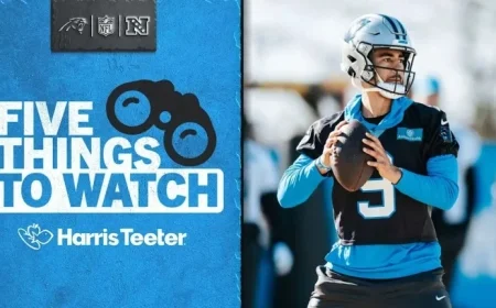 Panthers Eye Playoff Spot: 5 Key Factors to Watch