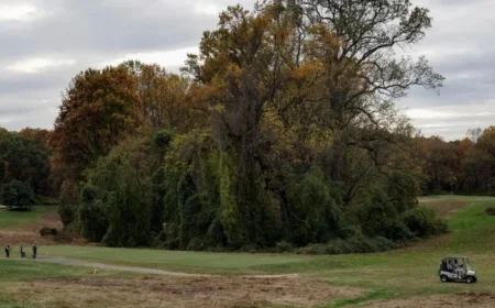 Trump Administration Ends Lease for Washington Public Golf Courses