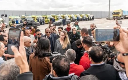 Angelina Jolie Visits Rafah Crossing Amid Suspended Aid to Gaza