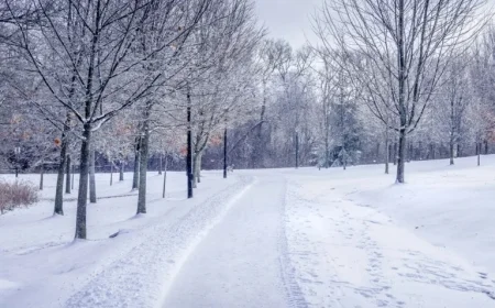 ABI Advises Homeowners and Drivers for Approaching Cold Weather