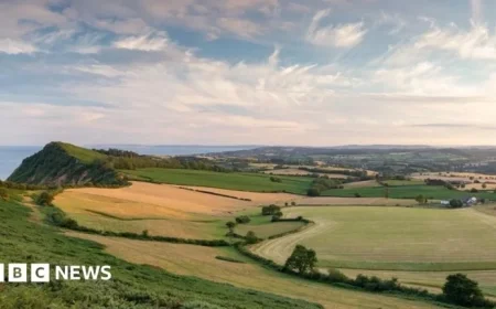 Devon Politics 2025: A Year of Transformation