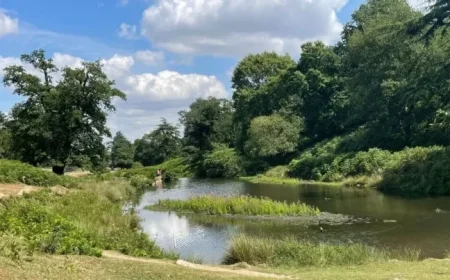 Police Officer Intentionally Falsifies Information on Bradgate Park Mushroom Picker