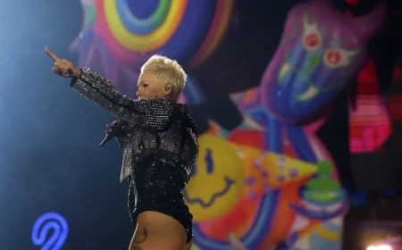 Pink Hospitalized on New Year’s Eve, Declares Rock ‘n’ Roll a Contact Sport