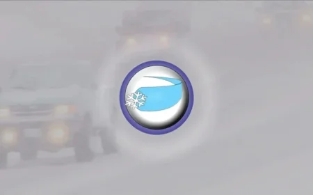 First Blizzard of 2026: Discover the Affected Areas