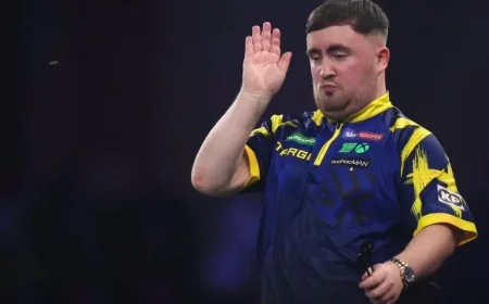 Wasp Stings Luke Littler in World Darts Championship Final