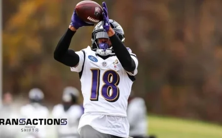 Ravens Promote Wide Receiver in Season Debut