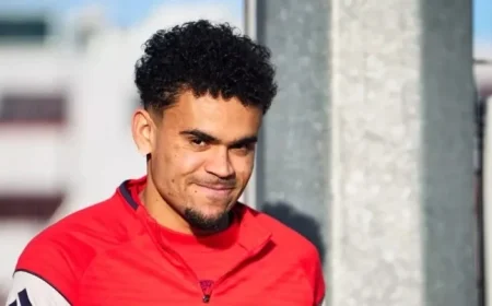 Luis Diaz Begins Surprising New Career Six Months Post-Bayern Move