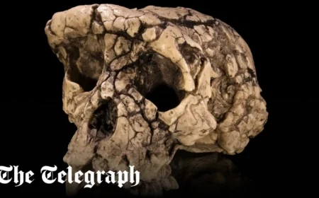 Seven-Million-Year-Old Walking Ape Discovered as Earliest Human Ancestor