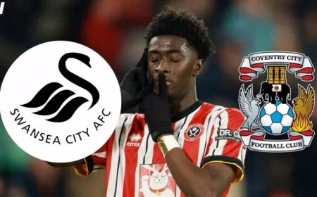 Coventry and Swansea Pursue Crystal Palace Star Signing Enquiry