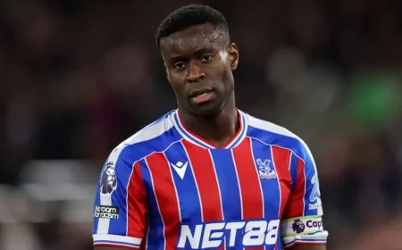 Crystal Palace vs Newcastle: Predicted Lineup and Team News