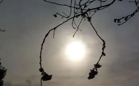 Bradford Weekend Weather: Temperatures to Plummet