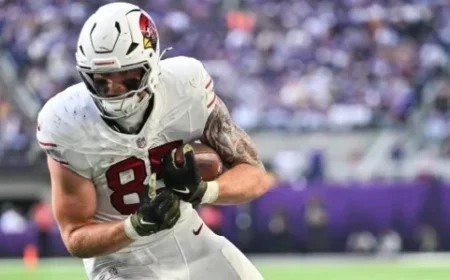 NFL Week 18 DFS TE Analysis: Best Cash and Tournament Picks