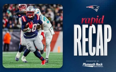 Patriots Dominate Dolphins 38-10, Conclude Season at 14-3