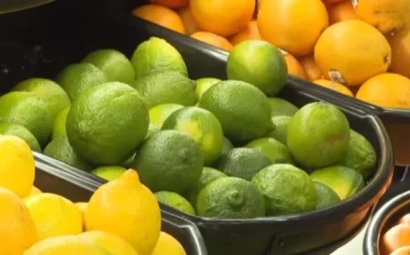 UVic Graduate Develops App to Find Grocery Deals