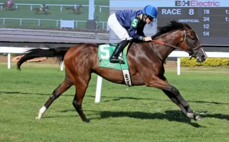 Sherbini and Tigerish Featured in Latest Keeneland January Supplements